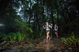 BIB: 
                            <button type="button" onclick="openModal(19243303)" class="btn btn-primary btn-sm float-right btn-popup" data-toggle="modal" data-target=".modal-high-quality">
                        <i class="fas fa-shopping-cart"></i> Add to Cart
                    </button>
                                            <button type="button" onclick="isThisMe(19243303, true)" class="btn btn-success btn-sm float-right btn-popup btn-isme hidden" data-toggle="tooltip" data-placement="bottom" title="นี่คือรูปของคุณใช่ไหม คลิกที่นี่เพื่อเอาเข้าอัลบั้ม">
                        <i class="fas fa-plus"></i> Add to album
                    </button>
                    <button type="button" onclick="isThisMe(19243303, false)" class="btn btn-warning btn-sm float-right btn-popup btn-isnotme hidden">
                        <i class="fas fa-ban"></i> Remove from album
                    </button>